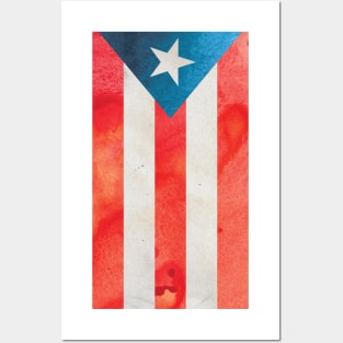 Bonita Bandera Posters and Art